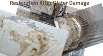 Restoration after Water Damage