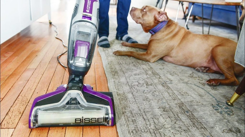 Cleaning House Carpet with Pets Quality Floors 4 Less