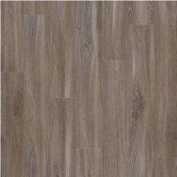 Explorers Cove Dolphin Luxury Vinyl Flooring